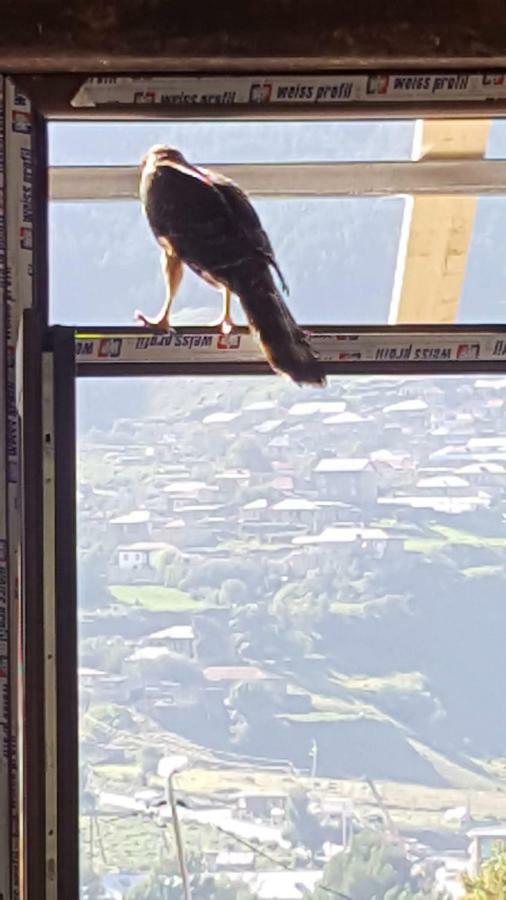 Rustaveli St11 Otel Kazbegi Dış mekan fotoğraf